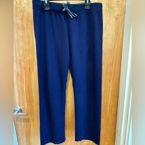A pair of navy blue Figs Livingston style scrub pants. Size large.